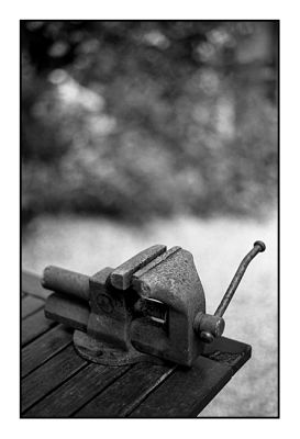 le_pin_18_juin004.jpg