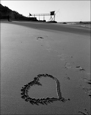 pentax_67002.jpg