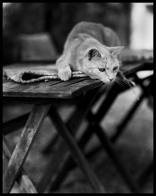 pentax_67007.jpg