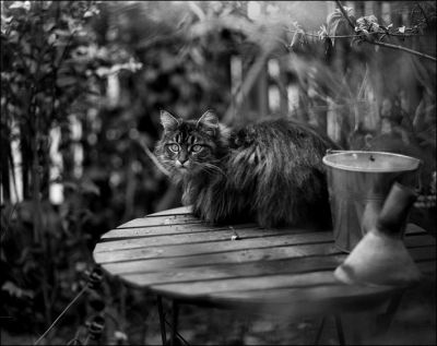 pentax_67014~1.jpg