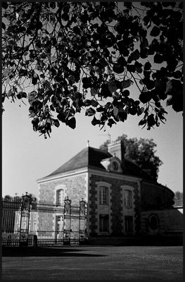 test_skopar006.jpg