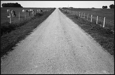 test_skopar013.jpg