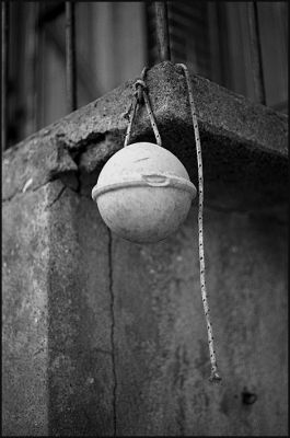 trentemoult_009.JPG