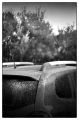 Road_trip_Sedella_062Forum.jpg
