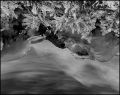 eau_glace.jpg