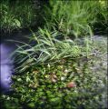 Nom du fichier=moret009.jpg
Taille du fichier=198Ko
Dimensions : 650x653
Ajouté le : 07 Août 2011 moret009.jpg