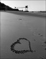 pentax_67002.jpg