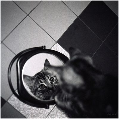 Glimoute
Canon AE1 p - Fujy Neopan 400 poussée à 800.
