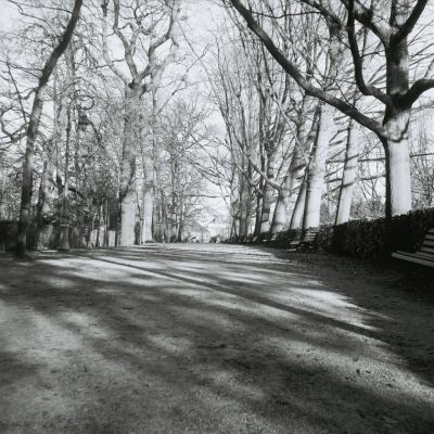 premiere_photo02
