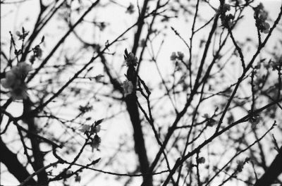 hiprintemps222122.jpg