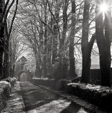 Vers l'Abbaye du Bon Repos
