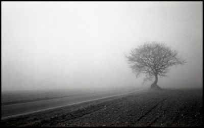 Brouillard 2
