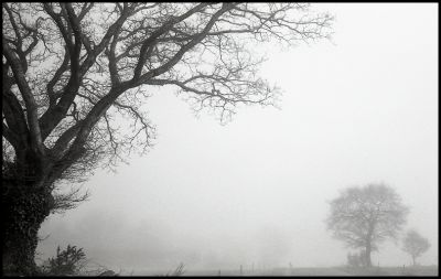 Brouillard 1
