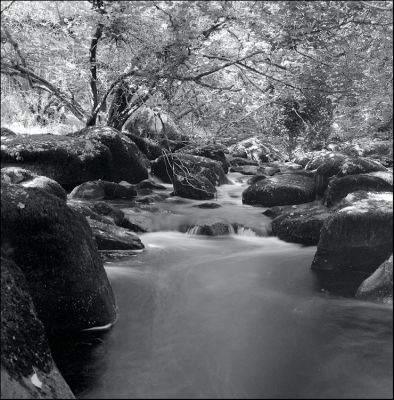 6060776-1-1.jpg