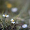 6060506-1.jpg