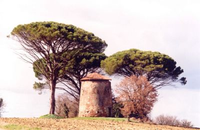 5b.jpg