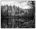 01042012-Paysage_-_PF007.jpg