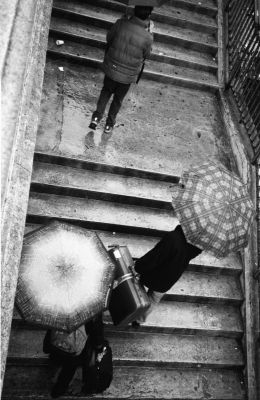 Parapluies

