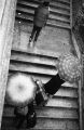 parapluie2.jpg