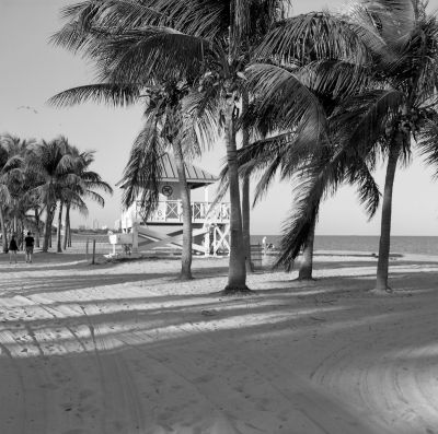Balda_Across_100_005.jpg