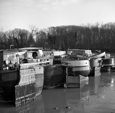 Baldax_Tmax003.jpg