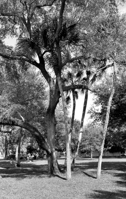 F100_EFKE_029R.jpg