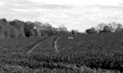 F3-HP5026.jpg
