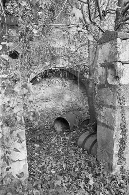 friche1_(1).jpg