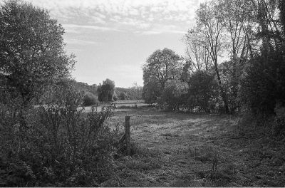 friche1_(4).jpg