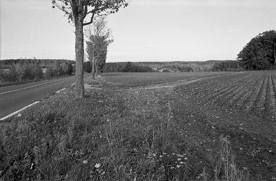 friche1_(5).jpg