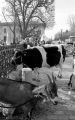 AcrossXtol1+1020.jpg
