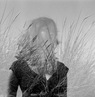 aline-surimp.jpg