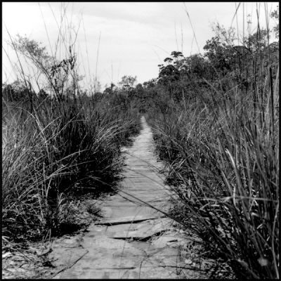 chemin2.jpg