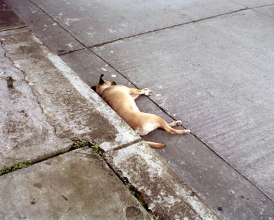 img330.jpg