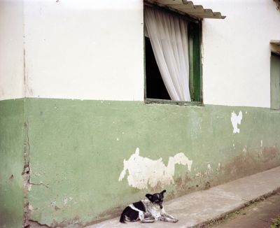 img453.jpg