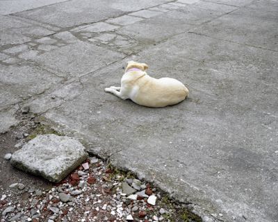 img464.jpg