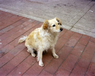 img555.jpg