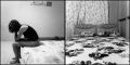 aline-assise-lit.jpg