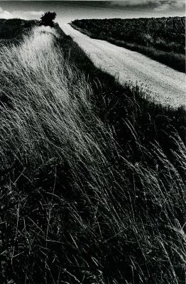 Chemin dans le gers

