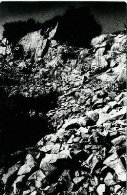 scan0010.jpg