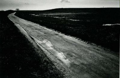 scan28.jpg
