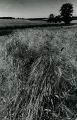 scan0003.jpg