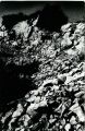 scan0010.jpg
