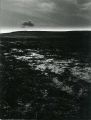 scan0045.jpg