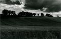scan0099.jpg