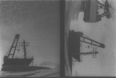 Image1.jpg