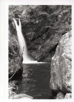 torrent001.jpg