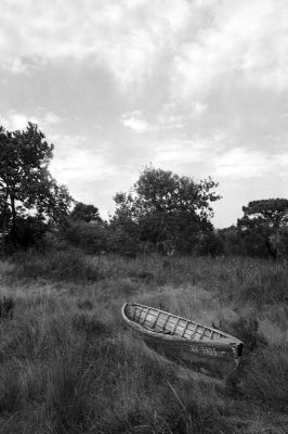 Barque1
