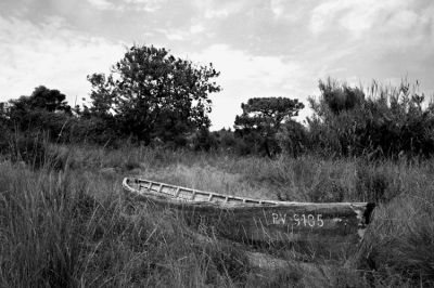 barque2
