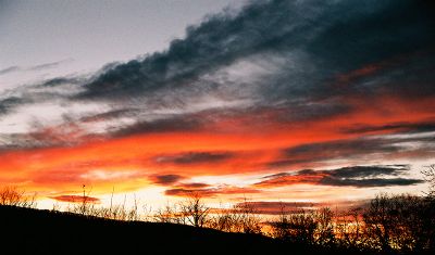 Crimson Dusk
